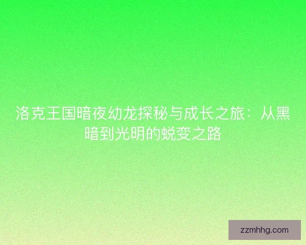 洛克王国暗夜幼龙探秘与成长之旅：从黑暗到光明的蜕变之路