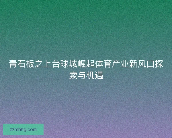 青石板之上台球城崛起体育产业新风口探索与机遇