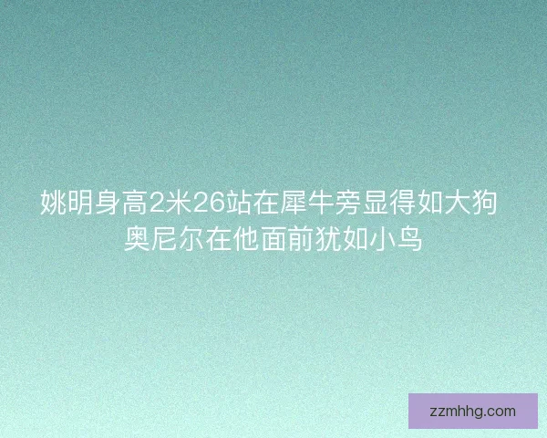姚明身高2米26站在犀牛旁显得如大狗 奥尼尔在他面前犹如小鸟